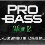 banner web